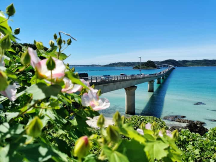 Cảnh quan biển Okinawa vào mùa hè