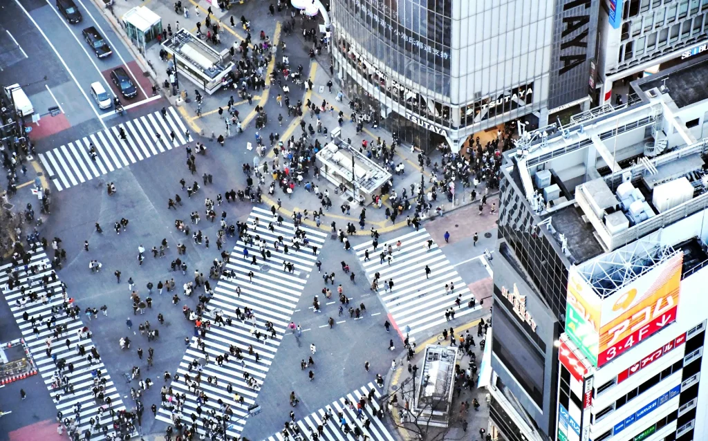 Một nha sĩ đang kiểm tra răng