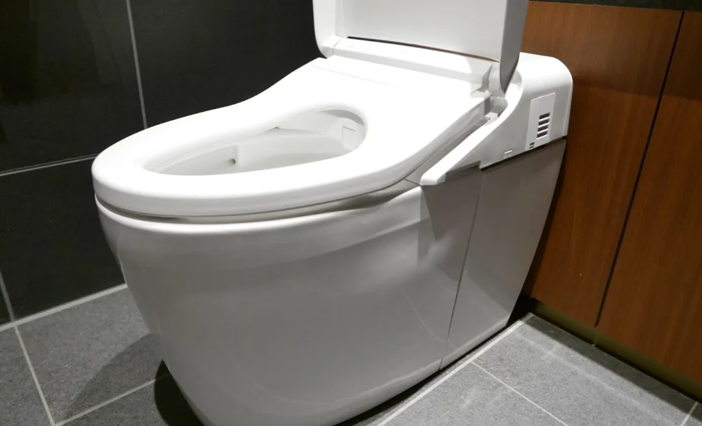 So sánh giữa toilet xổm (washiki) và toilet bệt (yōshiki) ở Nhật Bản.