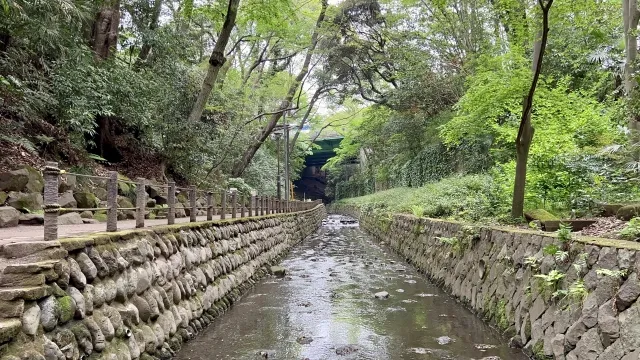 Khung cảnh hẻm núi Todoroki