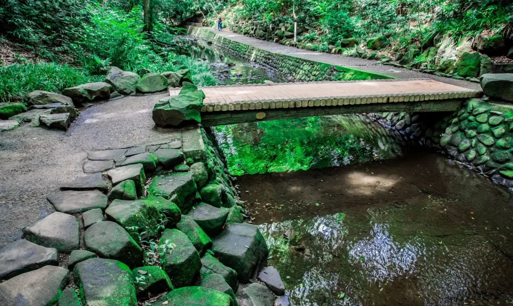 Một con sông chảy qua hẻm núi