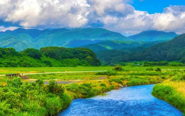 Hình ảnh một người đàn ông đang xem trang web Furusato Nozei