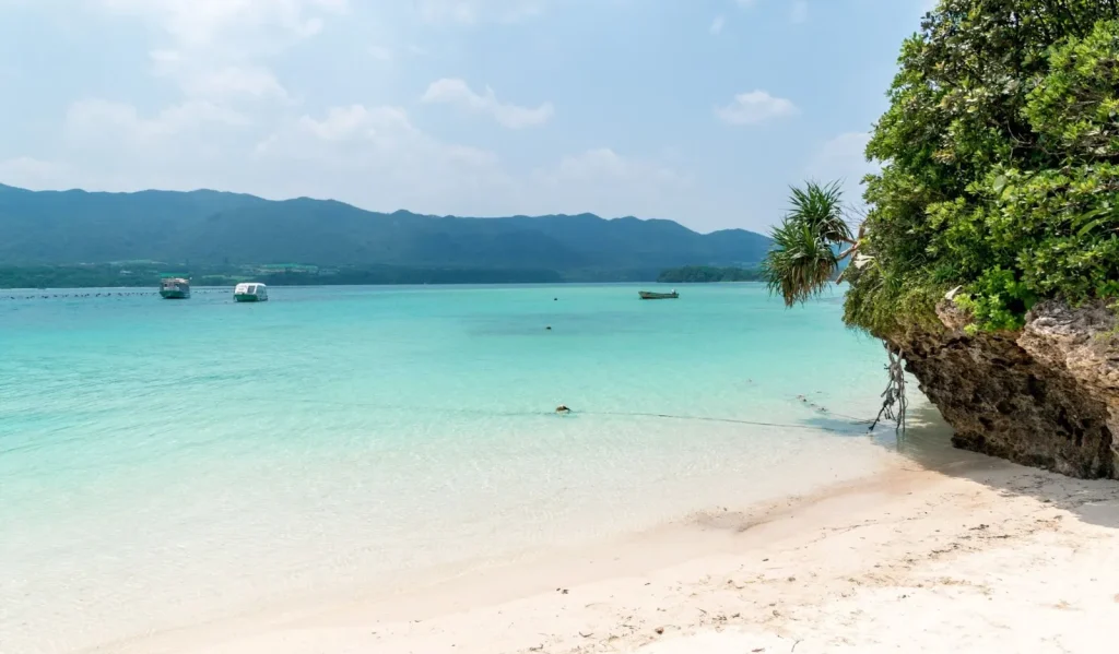 Một nhóm người đang thảo luận trong Share House