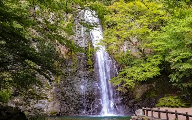 Cảnh quan khu vực Minoo