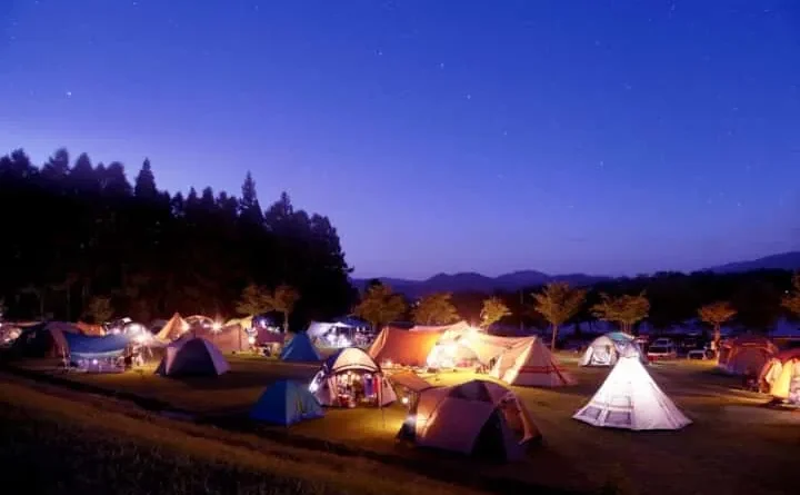 Hình ảnh một cơ sở Glamping hiện đại