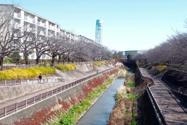 Một người đàn ông đang xem nhà