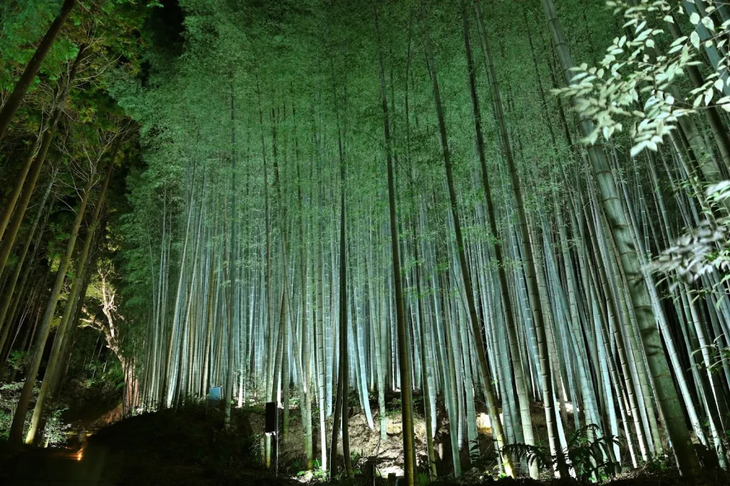 Cảnh quan khu vực Takeo