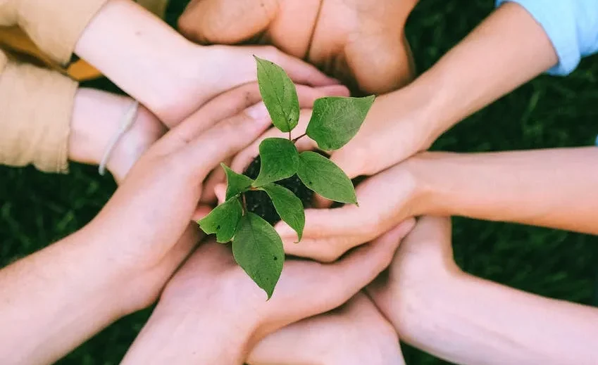 Một nhóm người đang làm tình nguyện