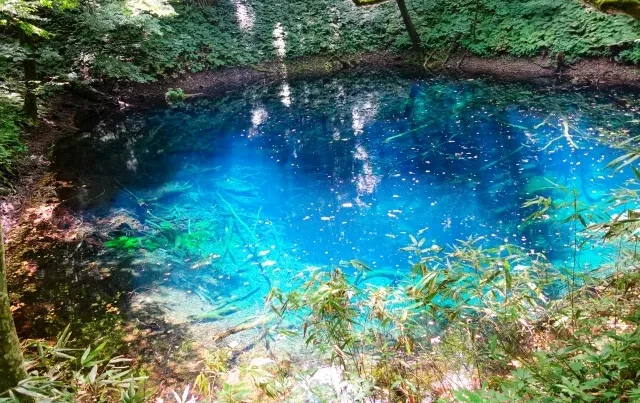 Một điểm ngắm cảnh ẩn mình