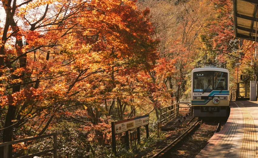 Phong cảnh lá đỏ tuyệt đẹp