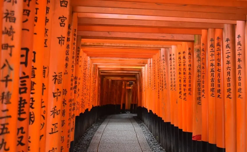 Thành phố Kyoto về đêm