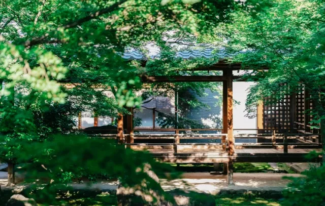 Một khu vực onsen truyền thống Nhật Bản