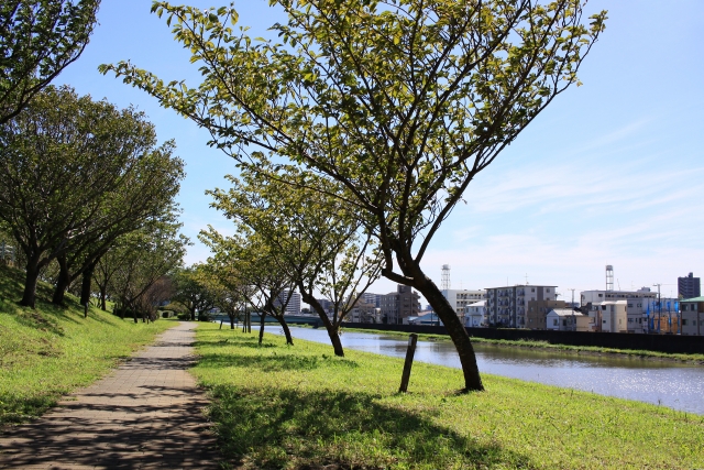 Một con đường mua sắm sạch sẽ và ngăn nắp ở Nhật Bản